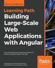 Building Large-Scale Web Applications with Angular, Brand New, Free P&P in th...