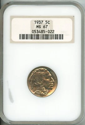 NGC - Buffalo Nickel - 5c - 1937 - MS 67 - Image 1 of 2