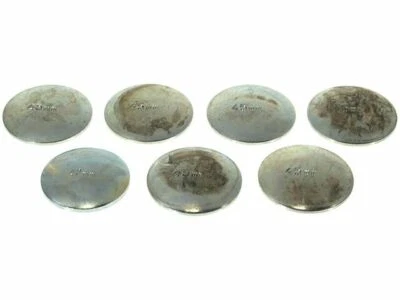 Kit de enchufe de expansión 99428CZ 1963 1964 1965 1966 para Volvo 544 1962-1967 Foto 1 de 2