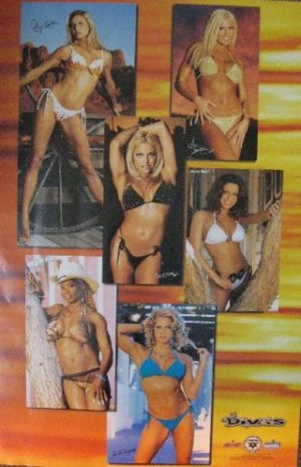 ADULT ONLY Poster WWE Divas Pin-Up - Image 1 of 1