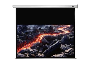 celexon Leinwand Motor Economy 220 x 124 cm (  Motorleinwände ) - Picture 1 of 4