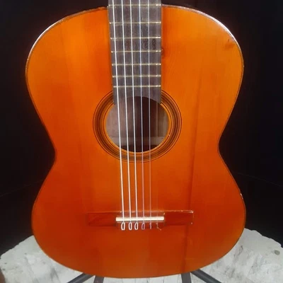 Unbranded Nylon String Guitar with Solid Cedar Top - Image 1 of 4