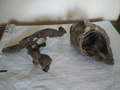 2 piezas de madera a la deriva de árboles naturales piedras anudadas e incrustadas decoración artesanal ÚNICO EN SU CLASE Foto 1 de 4