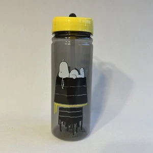 Peanuts Snoopy Water Bottle Straw 19 Ounce Doghouse 8" Tall Melting Doghouse - Picture 1 of 12