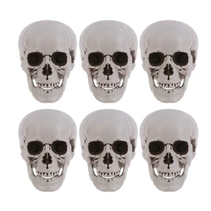 Amosfun 6Pcs Halloween Skulls Halloween Skeletons Life Size Skeleton Skull Re... - Picture 1 of 9