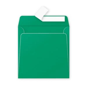 20 Briefumschläge Tannengrün 165x165mm Clairefontaine Quadratisch Einladungen - Bild 1 von 4