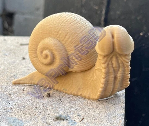 Penis Snail, Dick Snail, Bachelorette Gift, Penis Gag Gift, Homoerotic Art Décor Cover