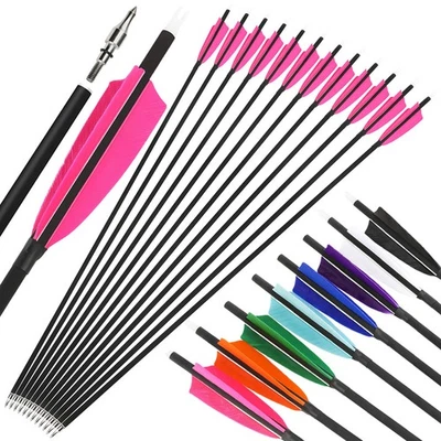 28" 30" 31" Carbon Arrows SP500 Feathers Screw Tips Recurve Compound Bow Hunting - Image 1 of 4