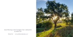Greeting Card - Tissington Trail, #Derbyshire- blank inside 6" x 6" - Picture 1 of 3