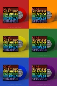 Sufjan Stevens Love Yourself With My Whole Heart COLOR 7" VINYL Record non lp!!! - Picture 1 of 3