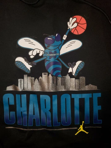 Charlotte Hornets Hugo Jumpman Jordan Brand Team Store Exclusive  Hooded Sweat Cover