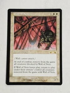 MTG Wall of Nets (Exodus/White/R) - BGM - Picture 1 of 2