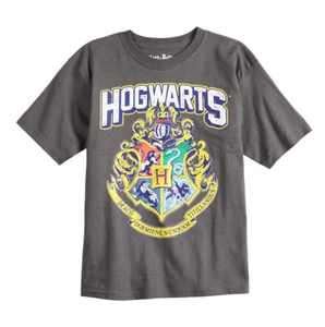 Harry Potter Hogwarts Crest T-Shirt Charcoal Grey Youth Sizes: S M L NIP - Picture 1 of 1