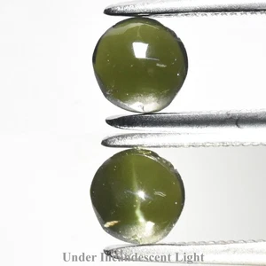 💎 0.51ct Round Cabochon Natural Green Cat's Eye Augite - Sri-Lanka Gem - Picture 1 of 6