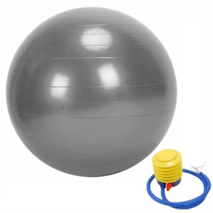 Exercise GYM Yoga Ball Fitness Pregnancy Birthing Anti Burst + Pump 45cm - Picture 1 of 20
