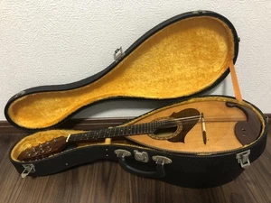 SUZUKI M-215 Mandolin Violin 8 strings Acoustic Wooden Vintage Hard Case Tested - Picture 1 of 13