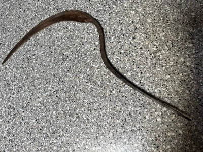Vintage Hand Sickle or Scythe Made in Austria - Image 1 of 3