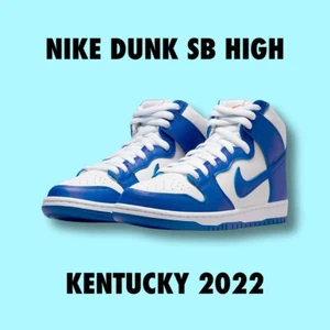Nike Dunk SB High Kentucky size 7 - Picture 1 of 3