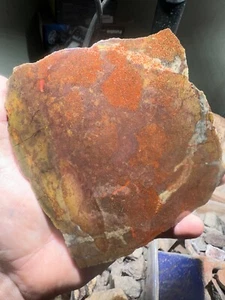 Dinosaur gem bone rough **hxtled large slab. - Picture 1 of 10