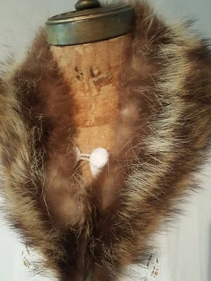 Vintage Fur Collar from 1960s Raccoon, Quilted Lining, Pin Back Connectors 27"L - Image 1 of 4