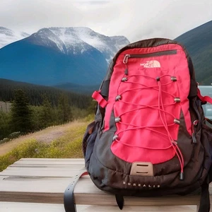 The North Face Borealis Classic Backpack. Res Classic Nice! - Picture 1 of 6