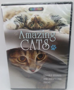 Amazing Cats (Questar 2012 DVD) NEW, sealed, ships next business day! - Picture 1 of 3