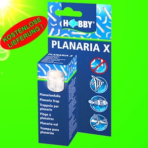 Aquarium ❤️ PLANARIENFALLE ❤️ Planaria Scheibenwürmer Falle Trap Wurm Fänger . - Bild 1 von 7