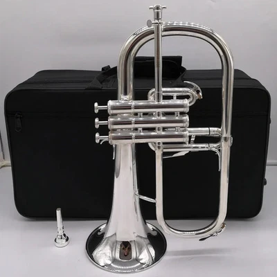 Instrumento Campana Latón Amarillo Bb Chapado en Plata Alta Calidad Flugelhorn 8310ZS Foto 1 de 4