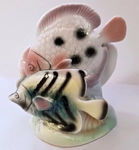 Tropical Fish Glossy Figurine Two Fish Swimming Pass Shell - Picture 1 of 4