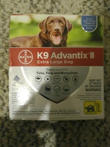 ebay advantage for dogs