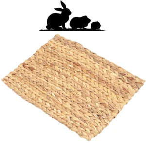 Natur Schilf Gras Chill N Kau Matte Kaninchen Hamster Meerschweinchen Spielzeug 33 cm x 24 cm - Bild 1 von 7