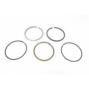 2FastMoto Piston Rings Set Standard Domed for Honda Z50 13010-036-014 - Picture 1 of 4