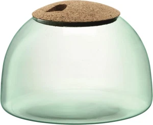 Canopy Closed Garden Planter 6.5”, Luxury Handcrafted Modern Recycled Glass Vase - Picture 1 of 3