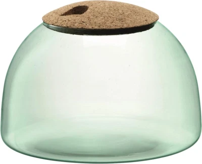 Canopy Closed Garden Planter 6.5”, Luxury Handcrafted Modern Recycled Glass Vase - Image 1 of 3