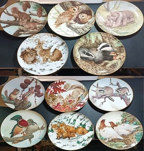 Placa de estudio de coleccionistas de John Francis Your Choice of Plates THE FOREST YEAR - Imagen 1 de 38