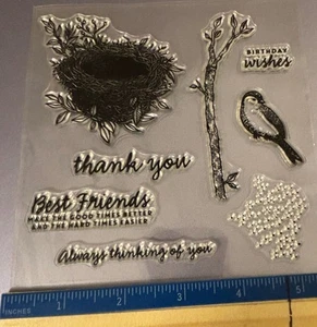 Timbro trasparente, uccellino, nido, saluti, amicizia, ringraziamenti, scrapbooking, card makin - Foto 1 di 3