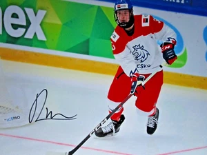 RADIM MRTKA SIGNED 8X10 MATTE PHOTO TEAM CZECHIA BUFFALO SABRES (C) - Picture 1 of 2