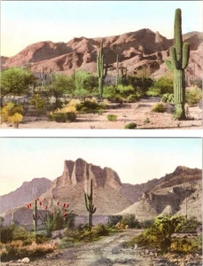 2~HAND COLORED Postcards AZ Arizona CATALINA & SUPERSTITION MOUNTAINS Saguaros - Picture 1 of 5