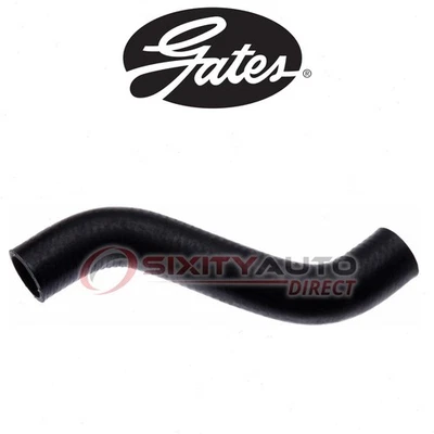 Gates Lower Radiator Coolant Hose for 2006-2009 Chevrolet Uplander 3.9L V6 - es - Image 1 of 4