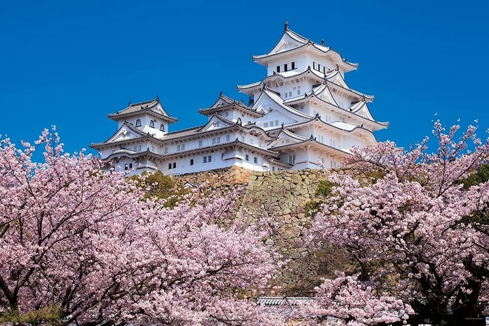 Thousand Cherry Blossoms Himeji Castle Hyogo 1000 Piece Puzzle Yanoman 10-1411