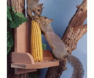 Songbird Essentials SQUIRREL PLATFORM FEEDER #SEWF2040,  FAST USA SHIPPING   /dm - Picture 1 of 1