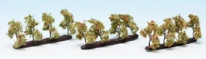 NOCH - 24 Pflanzbäume mit Äpfeln - 1/87 - NOC21537 - Bild 1 von 1
