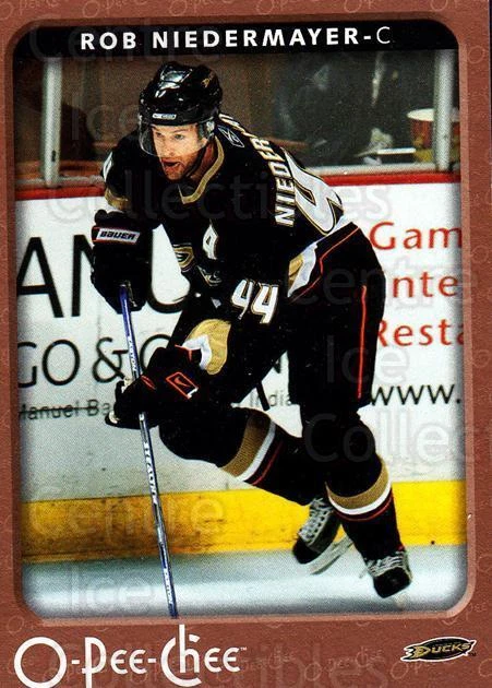 2006-07 O-Pee-Chee #13 Rob Niedermayer - Image 1 of 1