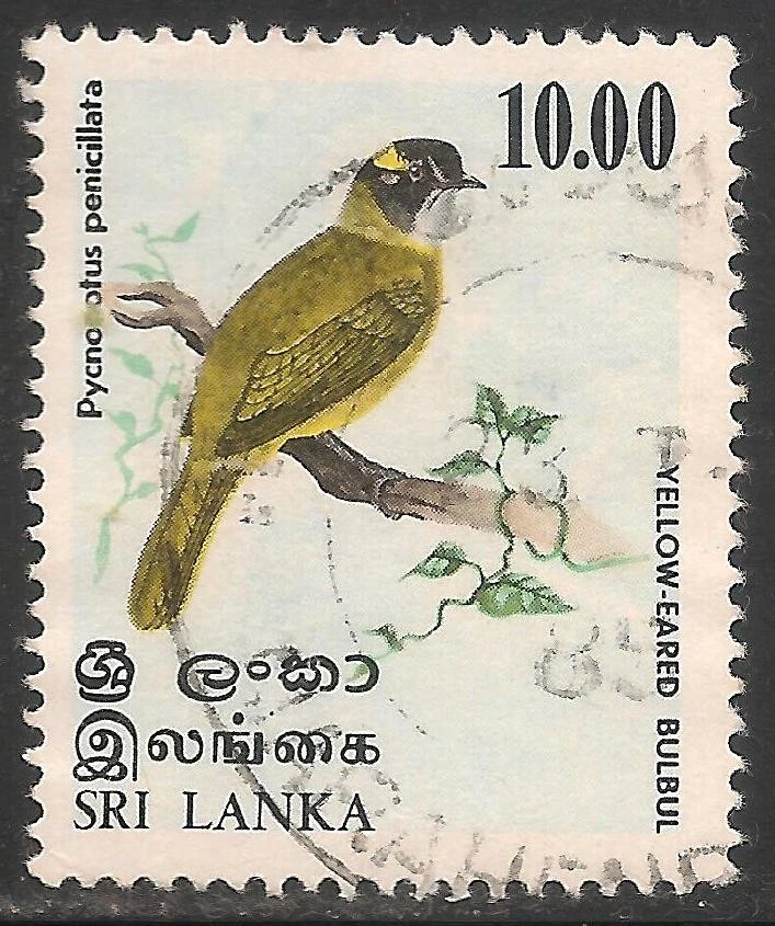 Sri Lanka #569 (A206) VF USED -  1979 10r Yellow-Eared Bulbul Bird - Image 1 of 1