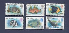 BERMUDA - Scott 371 / / 379 - MNH - FISH - 1978-1979