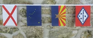 US State Flaggen Polyester Wimpelkette - alle 50 Staaten - Bild 1 von 10