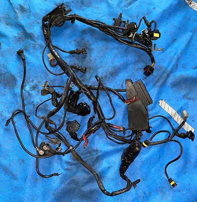 Arnés de cables Ducati Supersport 1000 2003  Foto 1 de 4