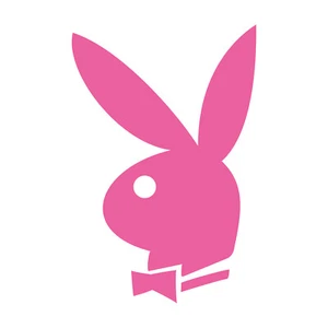 Pink Playboy Bunny Funny Car Stickers Decals Vinyl Bumper Laptop JDM DUB JAP - Picture 1 of 4