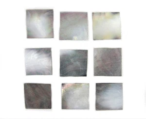 9Pcs .98 Inch Square No Polished Tahiti Black Abalone Block Guitar Ukulele Inlay - Picture 1 of 1