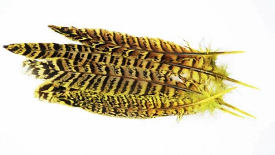 Irish Fly Supplies Hen Pheasant tails Syn Picric, sedge, wings, caddis